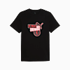 Görüntü Puma AC MILAN FtblCulture Erkek Tişört #4