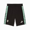 Görüntü Puma AC MILAN KING Erkek Eşofman Altı #6