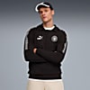 Görüntü Puma Manchester CITY KING DRILL Erkek Üst #1