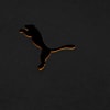 Görüntü Puma Galatasaray S.K. 24/25 ERKEK ÖZEL ANTRENMAN CEKETİ #4