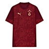 Görüntü Puma GALATASARAY Erkek Kısa Kollu Antrenman Forması #4