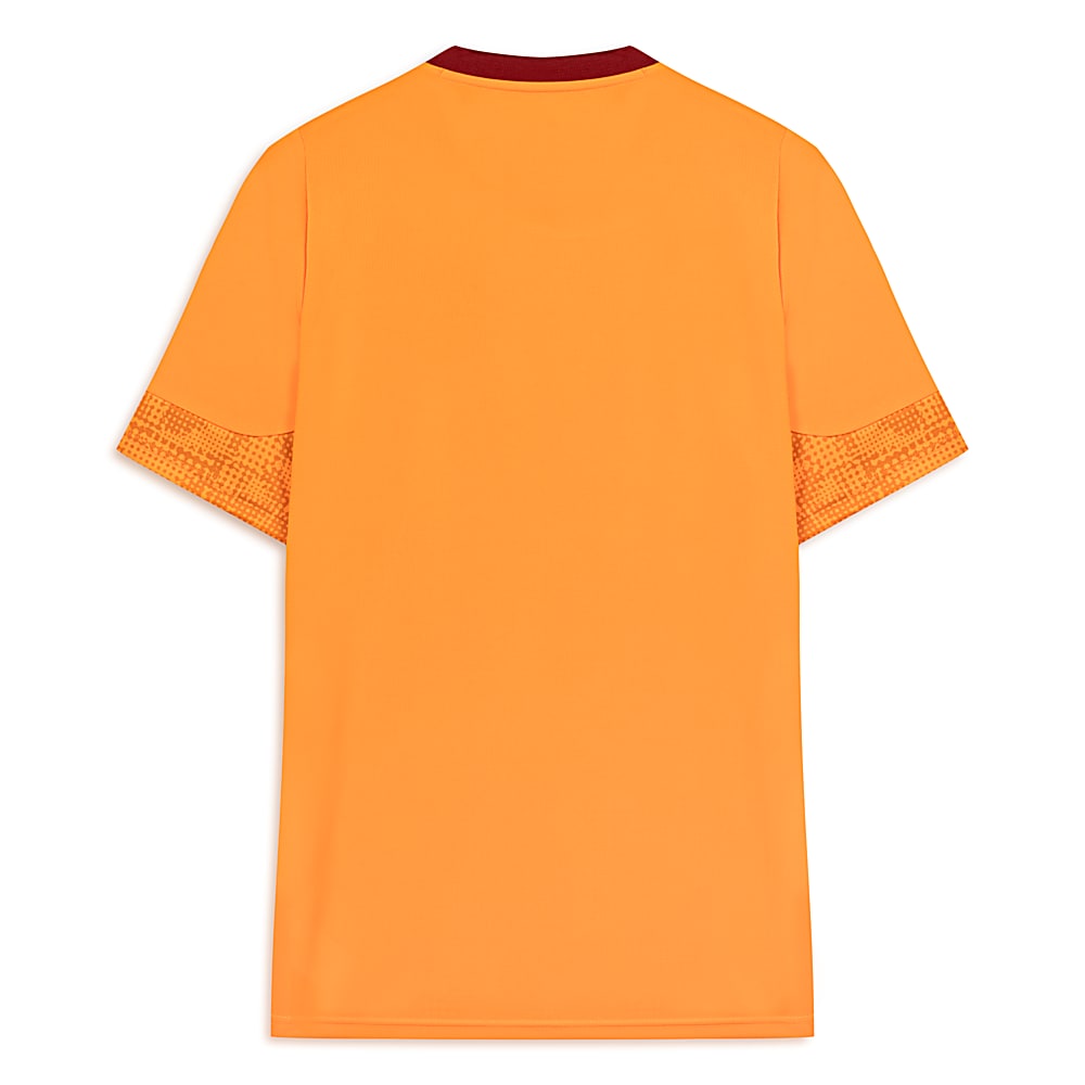 Görüntü Puma GALATASARAY Erkek Kısa Kollu Antrenman Forması #2