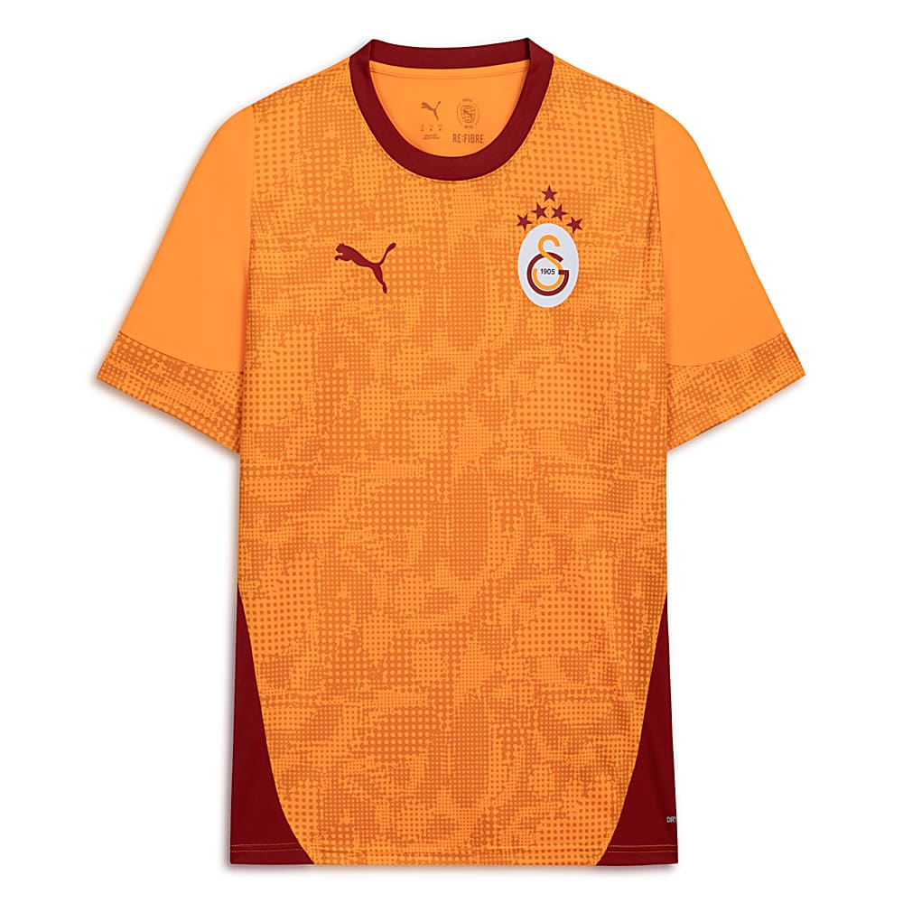 Görüntü Puma GALATASARAY Erkek Kısa Kollu Antrenman Forması #1