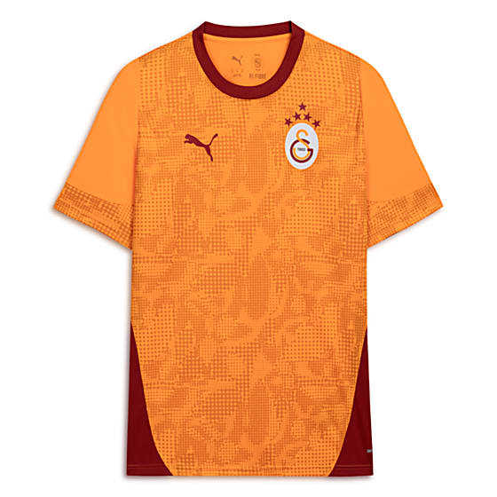 Мужские  Puma GALATASARAY Kisa Antrenman Formasi для тренировок