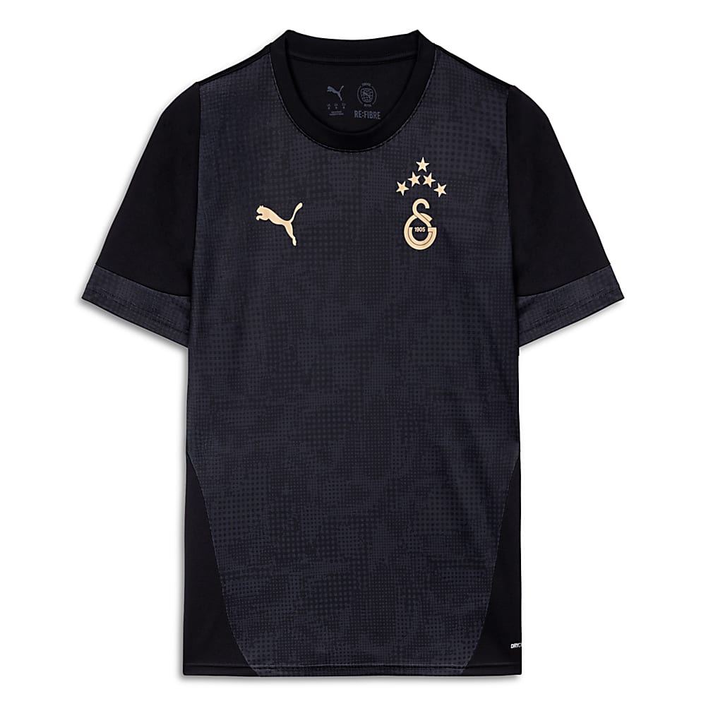 Görüntü Puma GALATASARAY Erkek Kısa Kollu Antrenman Forması #1