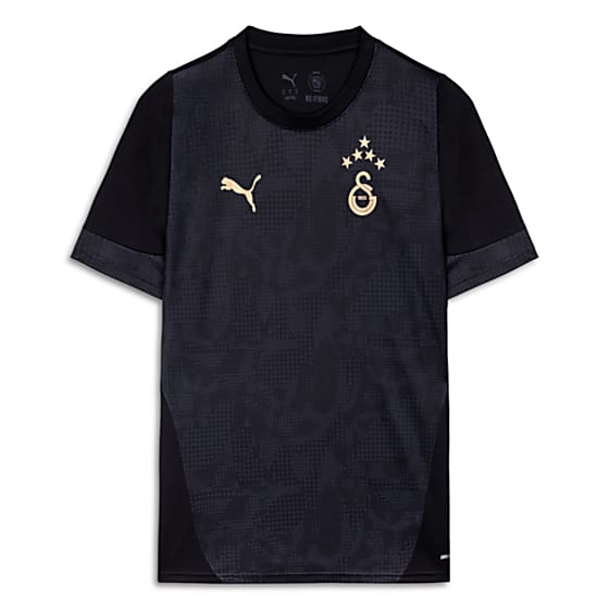 Мужские  Puma GALATASARAY Kisa Antrenman Formasi для тренировок