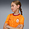 Görüntü Puma GALATASARAY Genç Antrenman Forması #2