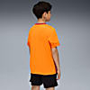 Görüntü Puma GALATASARAY Genç Antrenman Forması #4