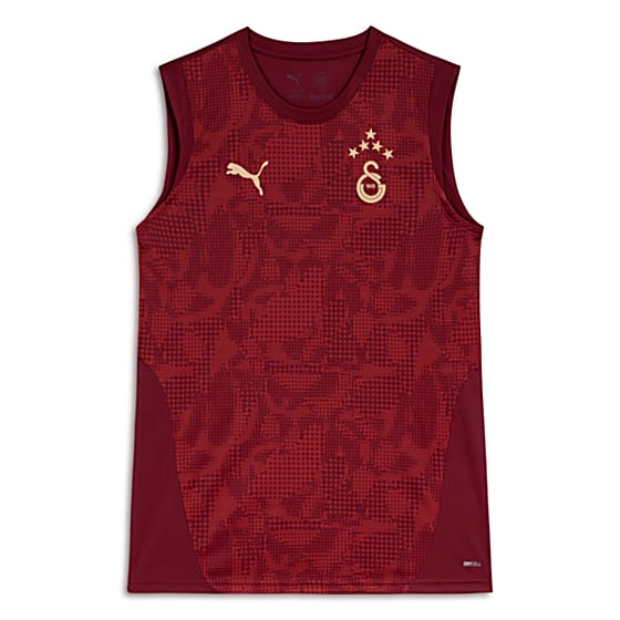 Мужские  Puma GALATASARAY Sifir Antrenman Formasi для тренировок