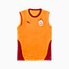 Görüntü Puma GALATASARAY Erkek Sıfır Kollu Antrenman Forması #1