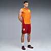 Görüntü Puma GALATASARAY Erkek Sıfır Kollu Antrenman Forması #3