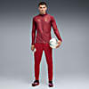 Görüntü Puma GALATASARAY Erkek Antrenman Fermuarlı Üst #3