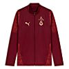 Görüntü Puma GALATASARAY Erkek Antrenman Ceket #4