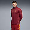 Görüntü Puma GALATASARAY Erkek Antrenman Ceket #1