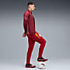 Görüntü Puma GALATASARAY Erkek Antrenman Ceket #3