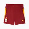 Görüntü Puma GALATASARAY Erkek Antrenman Şortu #4