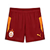 Görüntü Puma GALATASARAY Genç Antrenman Şortu #5