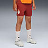 Görüntü Puma GALATASARAY Genç Antrenman Şortu #1