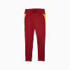 Görüntü Puma GALATASARAY Erkek Antrenman Eşofman Altı #2