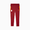 Görüntü Puma GALATASARAY Erkek Antrenman Eşofman Altı #1