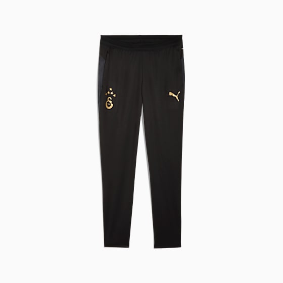Мужские спортивные штаны Puma GALATASARAY Antrenman для тренировок