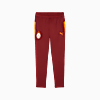 Görüntü Puma GALATASARAY Genç Antrenman Eşofman Altı #1