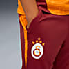 Görüntü Puma GALATASARAY Genç Antrenman Eşofman Altı #2