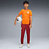 Görüntü Puma GALATASARAY Genç Antrenman Eşofman Altı #3