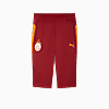 Görüntü Puma GALATASARAY Erkek Antrenman Kısa Eşofman Altı #4