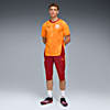 Görüntü Puma GALATASARAY Erkek Antrenman Kısa Eşofman Altı #3