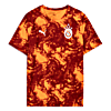Görüntü Puma GALATASARAY Erkek Maç Öncesi Antrenman Tişört #4