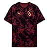 Görüntü Puma GALATASARAY Erkek Maç Öncesi Antrenman Tişört #1