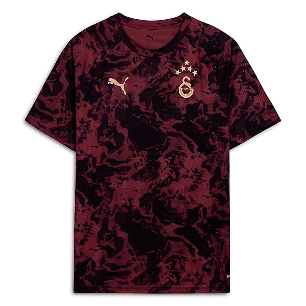 Görüntü Puma GALATASARAY Erkek Maç Öncesi Antrenman Tişört #1