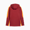 Görüntü Puma GALATASARAY EVOSTRIPE Erkek Kapüşonlu Ceket #7