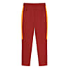 Görüntü Puma GALATASARAY EVOSTRIPE Erkek Eşofman Altı #5