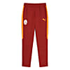 Görüntü Puma GALATASARAY EVOSTRIPE Erkek Eşofman Altı #4