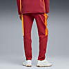 Görüntü Puma GALATASARAY EVOSTRIPE Erkek Eşofman Altı #2
