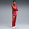 Görüntü Puma GALATASARAY EVOSTRIPE Erkek Eşofman Altı #3