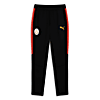 Görüntü Puma GALATASARAY EVOSTRIPE Erkek Eşofman Altı #4