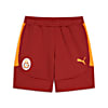 Görüntü Puma GALATASARAY EVOSTRIPE Erkek Şort #4