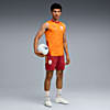Görüntü Puma GALATASARAY EVOSTRIPE Erkek Şort #3