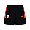 Görüntü Puma GALATASARAY EVOSTRIPE Erkek Şort #4