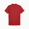 Görüntü Puma GALATASARAY EVOSTRIPE Erkek Polo #5