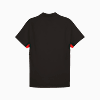 Görüntü Puma GALATASARAY EVOSTRIPE Erkek Polo #5