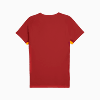 Görüntü Puma GALATASARAY EVOSTRIPE Erkek Tişört #5