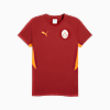 Görüntü Puma GALATASARAY EVOSTRIPE Erkek Tişört #4