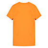 Görüntü Puma GALATASARAY EVOSTRIPE Erkek Tişört #5