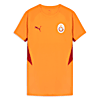 Görüntü Puma GALATASARAY EVOSTRIPE Erkek Tişört #4