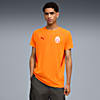 Görüntü Puma GALATASARAY EVOSTRIPE Erkek Tişört #1