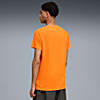 Görüntü Puma GALATASARAY EVOSTRIPE Erkek Tişört #2
